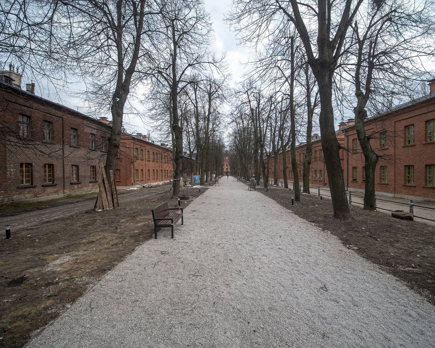 fot. Stefan Brajter