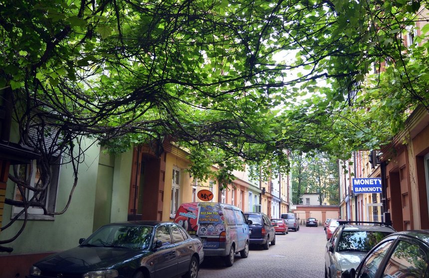 fot. ŁÓDŹ.PL