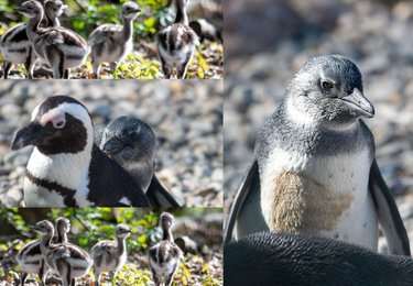 fot. Zoo w Łodzi